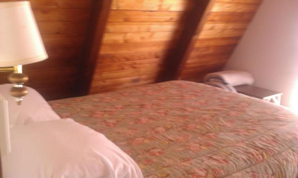Oliver Lodge Мередит Стая снимка